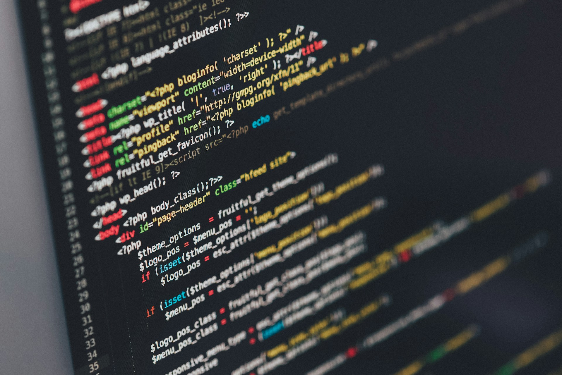 WordPress vs. Custom Development: Which Is Right for Your Business?